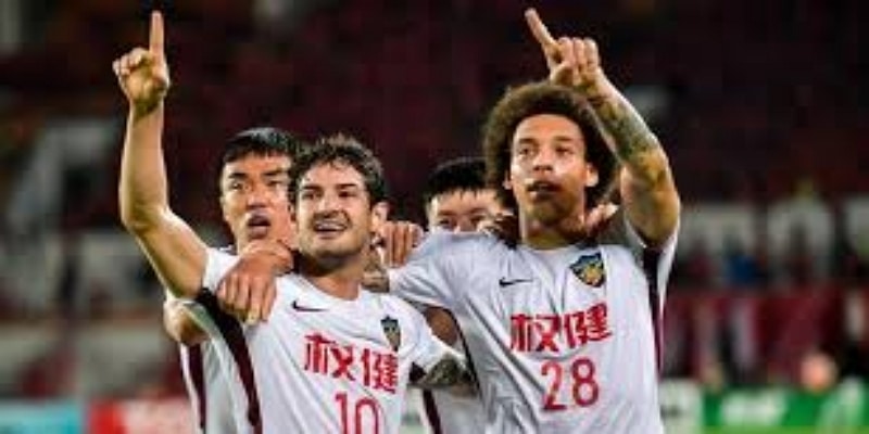 专家观点：新周期初期差异明显 -  半岛体育
